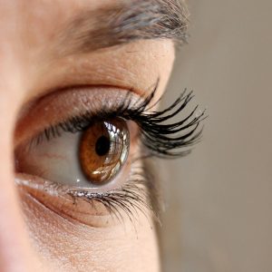 Eye Lashes